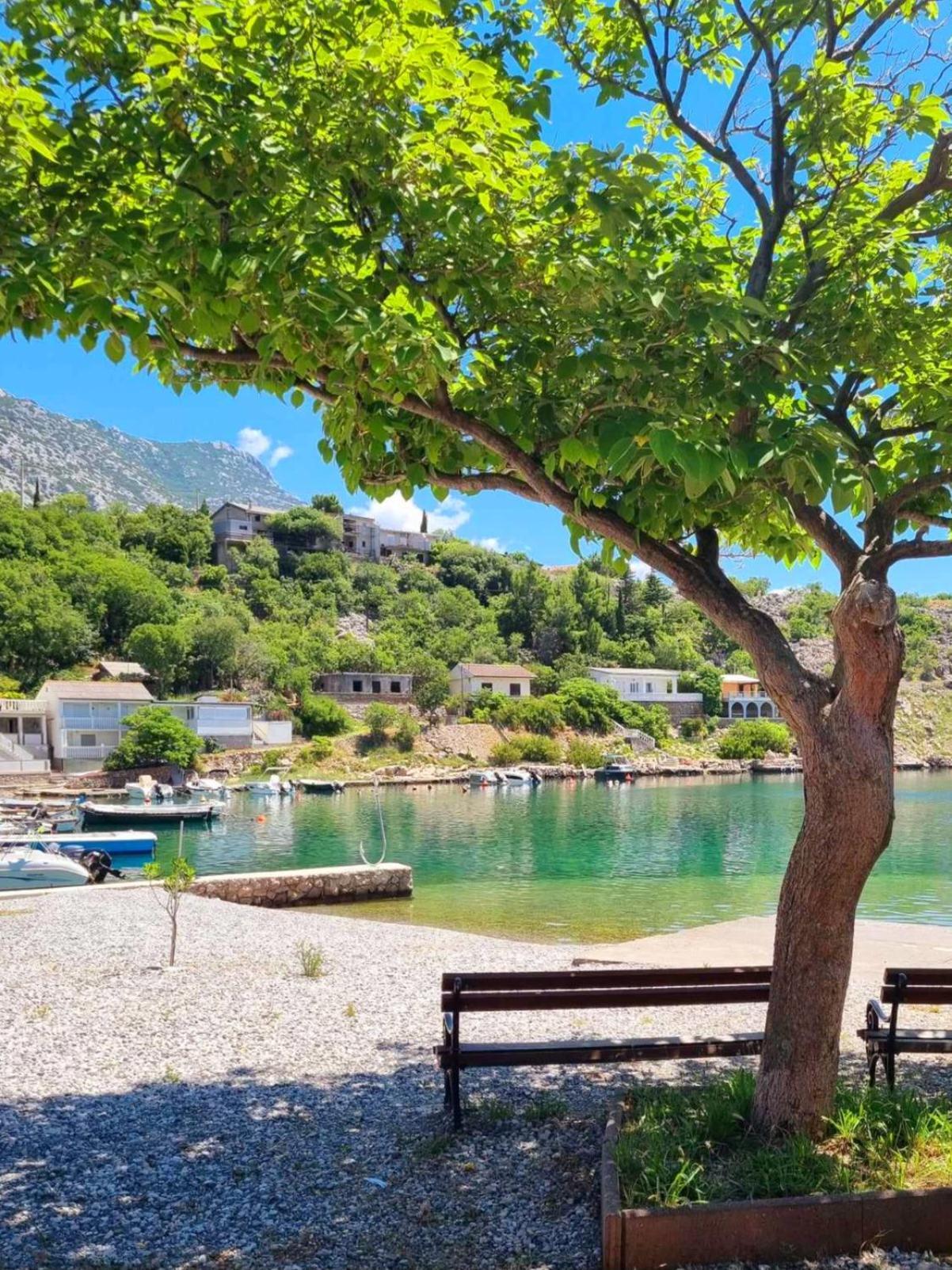 Rosemary Resort Cesarica Exteriér fotografie